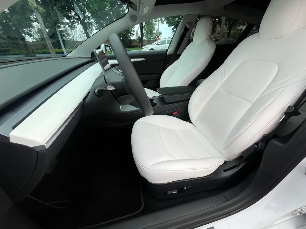 2021 Tesla Model 3 BEV 55KWH,autocango,china used car exporter,china ev exporter,chinese used car exporter,chinese used ev exporter