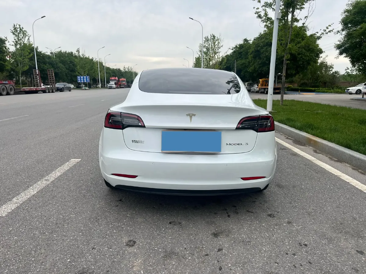 2021 Tesla Model 3 BEV 55KWH,autocango,china used car exporter,china ev exporter,chinese used car exporter,chinese used ev exporter