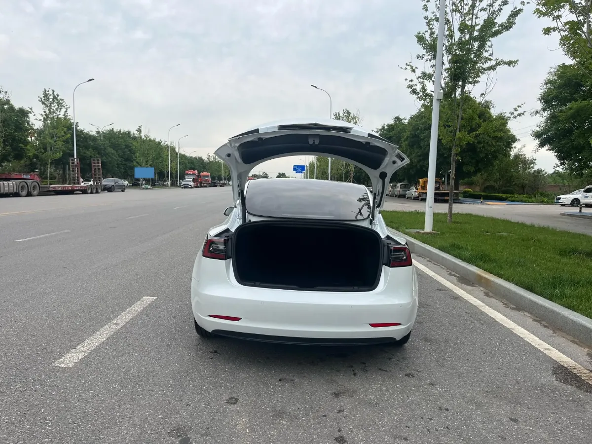 2021 Tesla Model 3 BEV 55KWH,autocango,china used car exporter,china ev exporter,chinese used car exporter,chinese used ev exporter