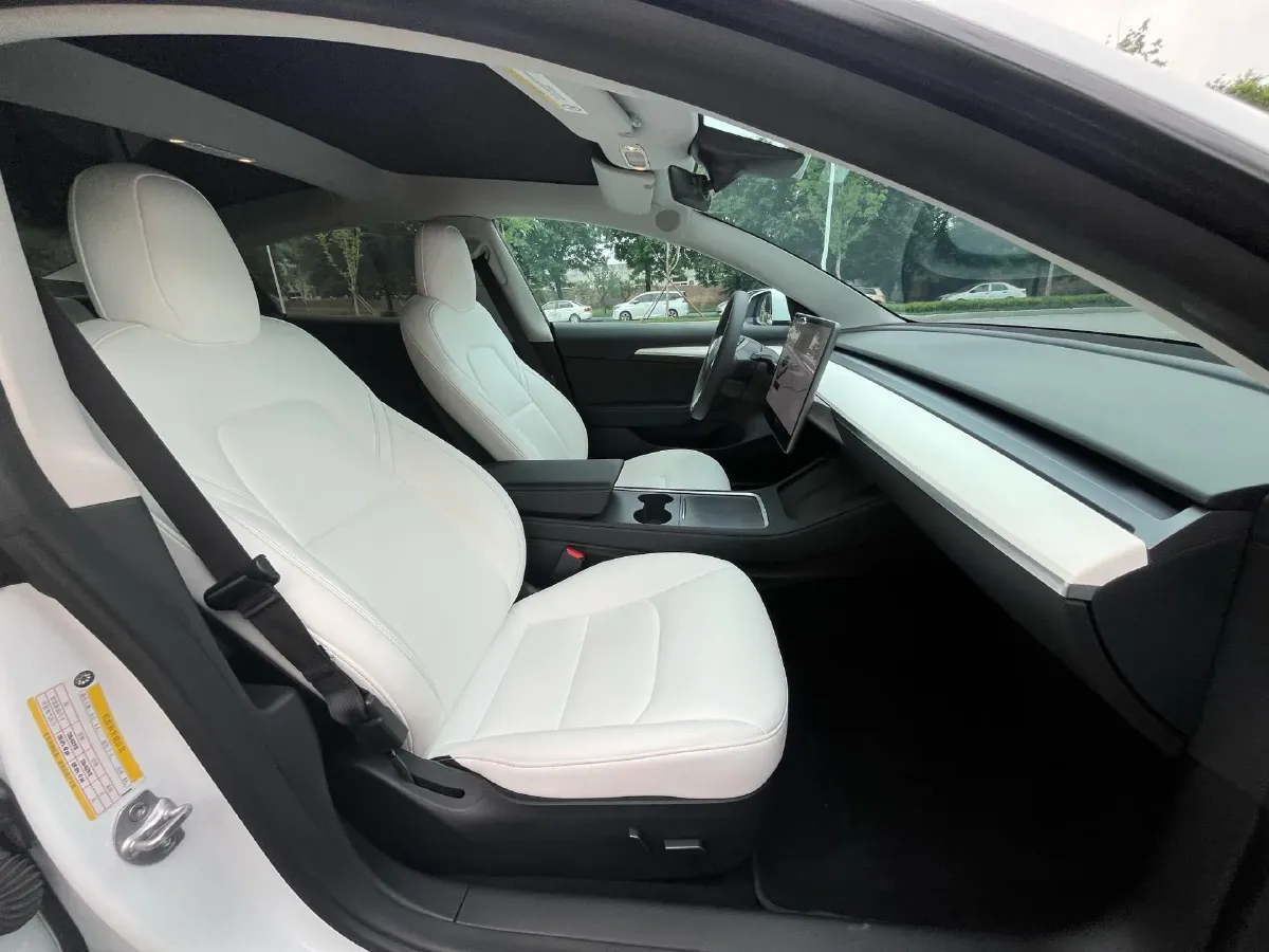 2021 Tesla Model 3 BEV 55KWH,autocango,china used car exporter,china ev exporter,chinese used car exporter,chinese used ev exporter