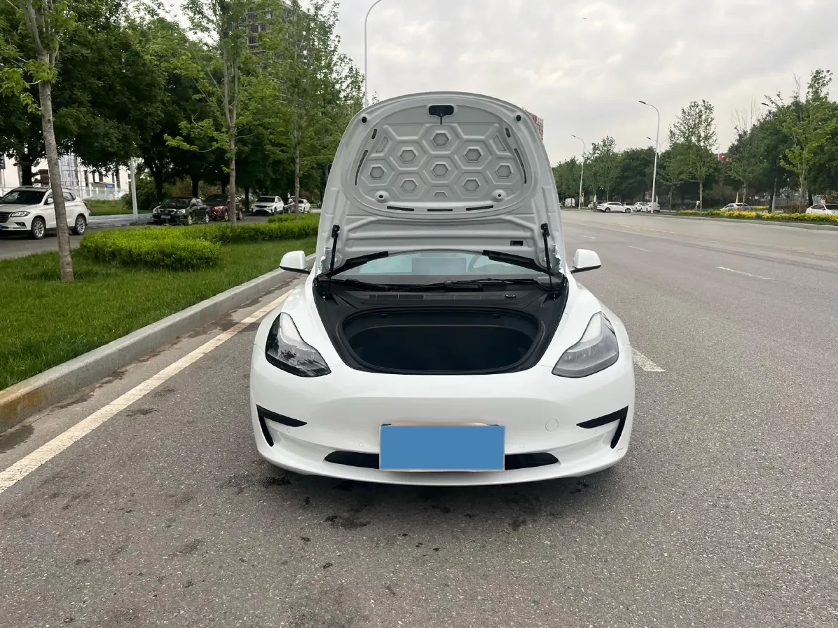 2021 Tesla Model 3 BEV 55KWH,autocango,china used car exporter,china ev exporter,chinese used car exporter,chinese used ev exporter