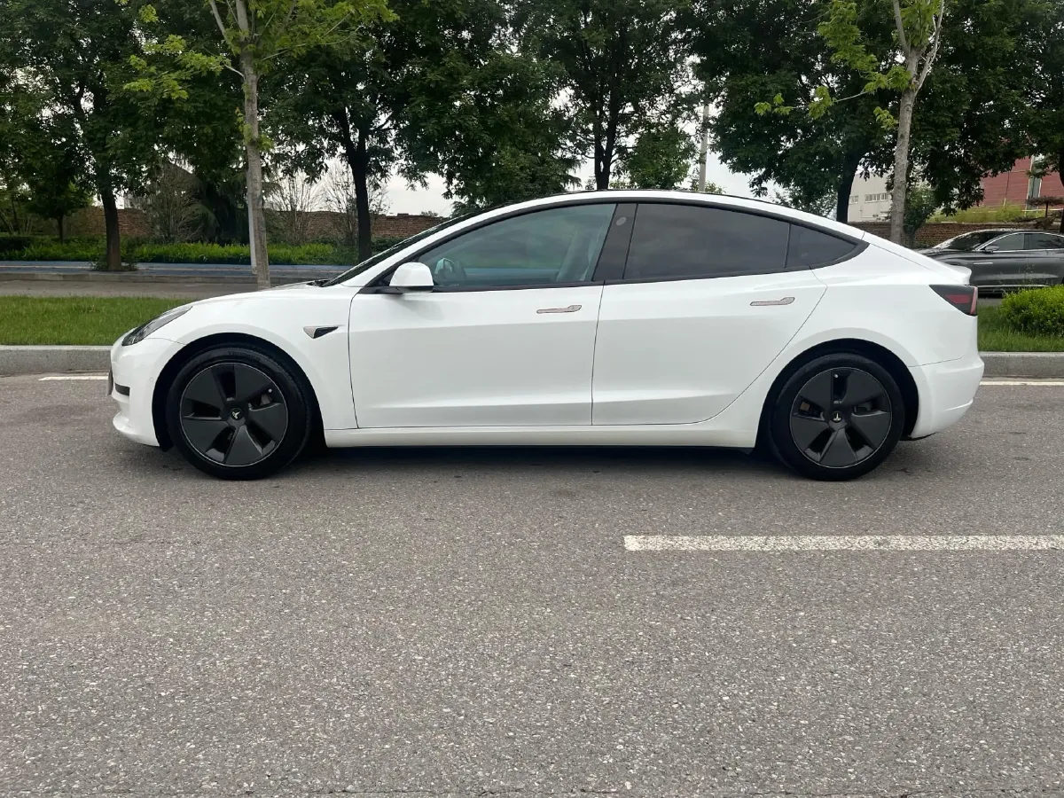 2021 Tesla Model 3 BEV 55KWH,autocango,china used car exporter,china ev exporter,chinese used car exporter,chinese used ev exporter