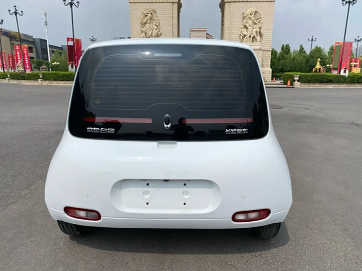 2020 Ora WhiteCat BEV 33KWH,autocango,china used car exporter,china ev exporter,chinese used car exporter,chinese used ev exporter