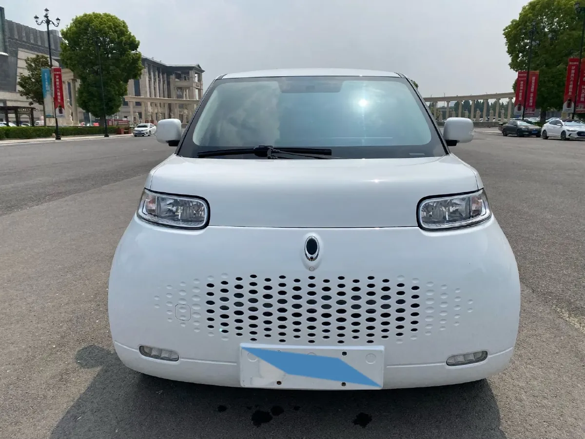 2020 Ora WhiteCat BEV 33KWH,autocango,china used car exporter,china ev exporter,chinese used car exporter,chinese used ev exporter