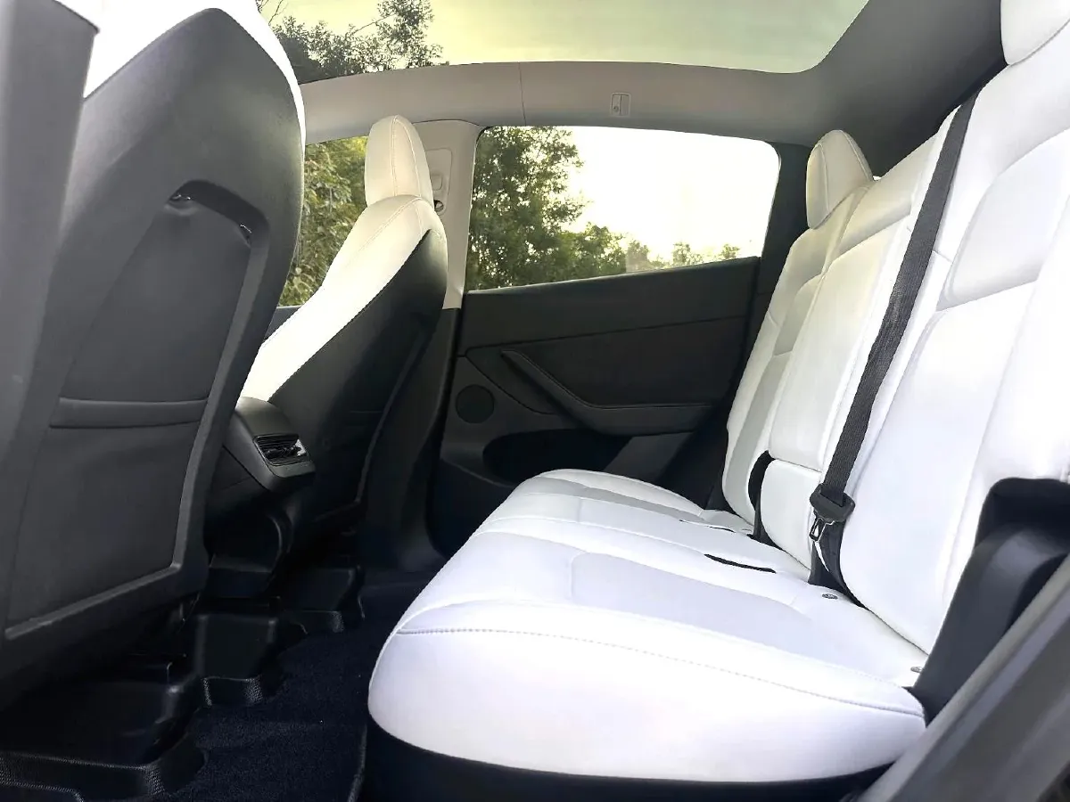 2021 Tesla Model Y BEV 60KWH,autocango,china used car exporter,china ev exporter,chinese used car exporter,chinese used ev exporter