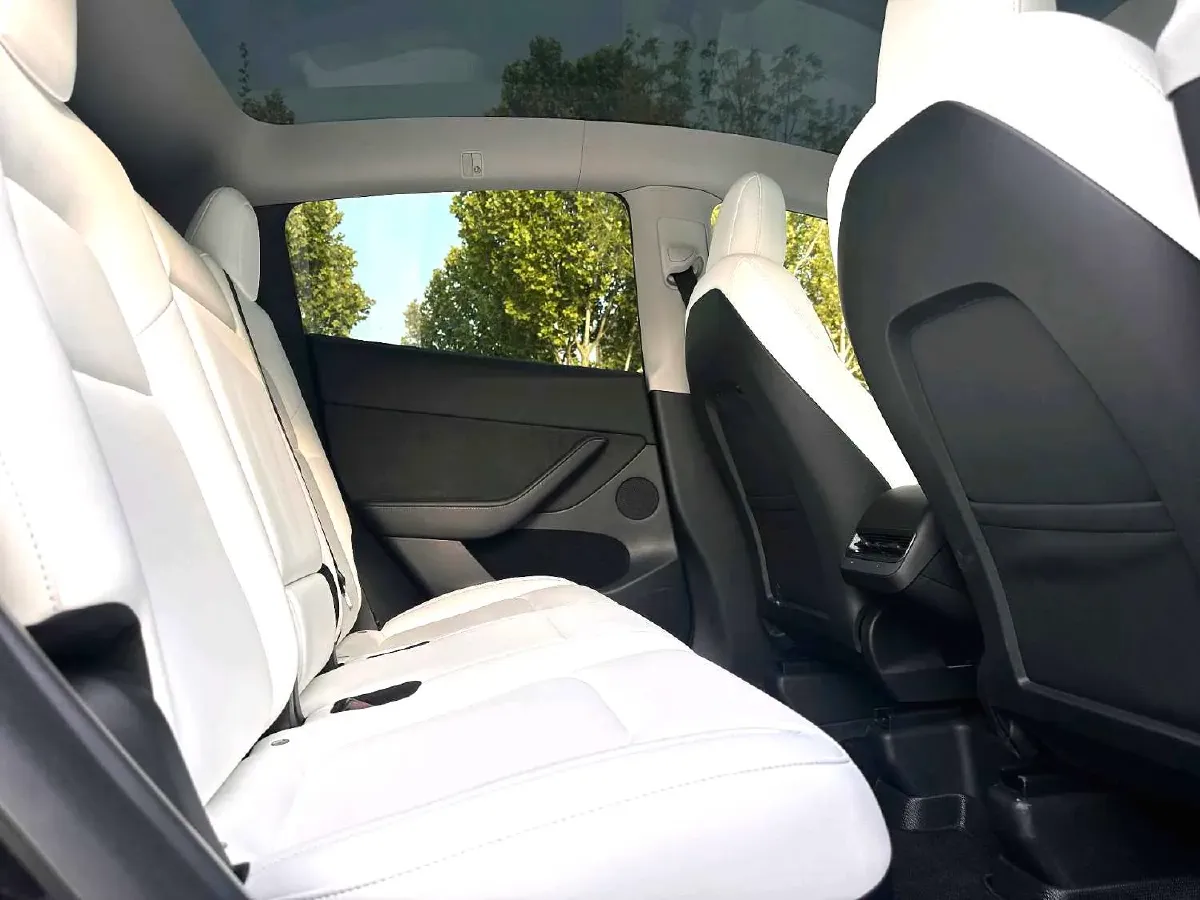 2021 Tesla Model Y BEV 60KWH,autocango,china used car exporter,china ev exporter,chinese used car exporter,chinese used ev exporter