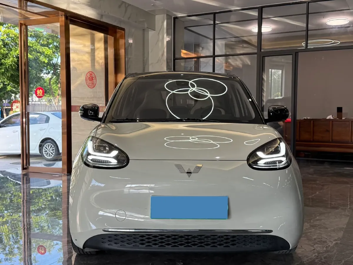 2023 WuLing BinGuo BEV 31.9KWH,autocango,china used car exporter,china ev exporter,chinese used car exporter,chinese used ev exporter