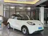 2023 WuLing BinGuo BEV 31.9KWH