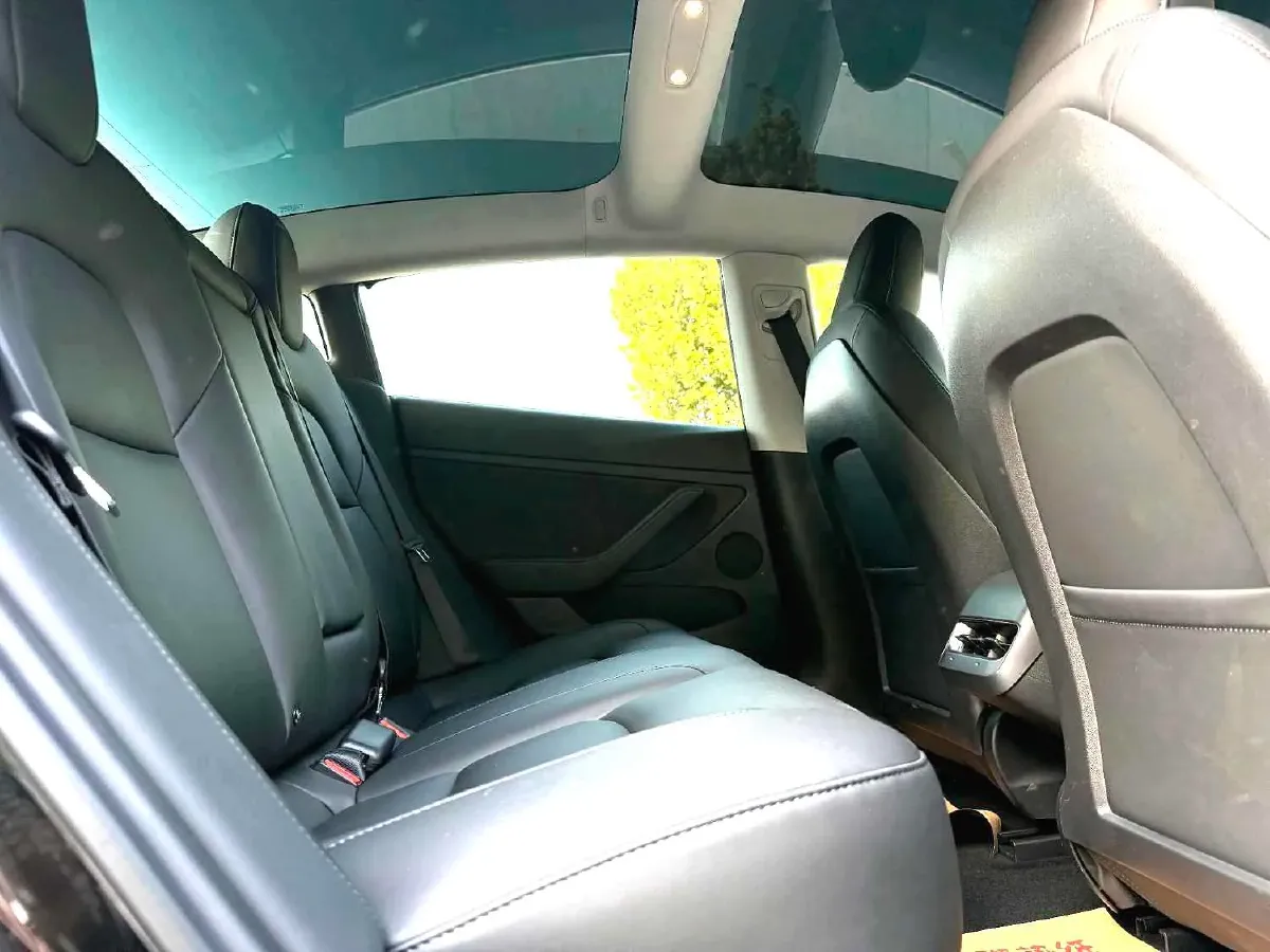 2021 Tesla Model 3 BEV 55KWH,autocango,china used car exporter,china ev exporter,chinese used car exporter,chinese used ev exporter
