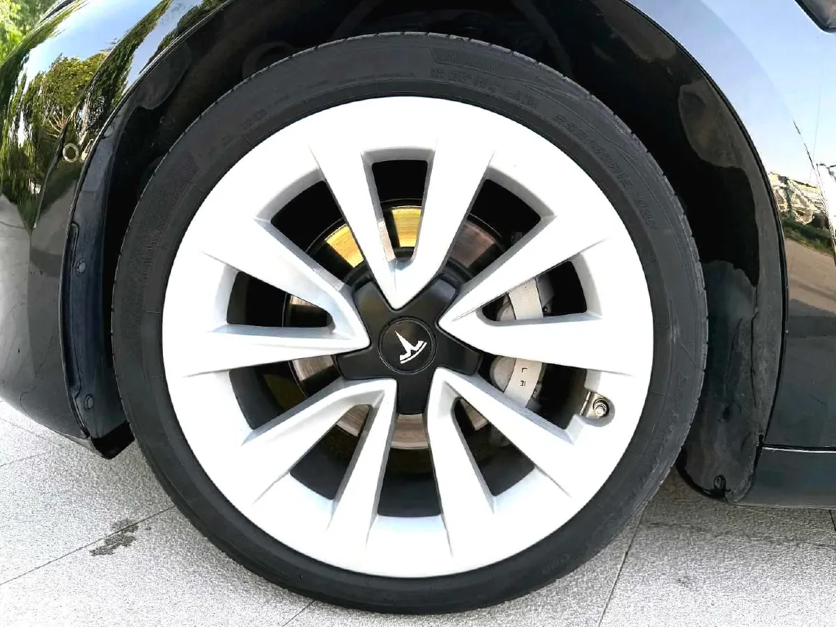 2021 Tesla Model 3 BEV 55KWH,autocango,china used car exporter,china ev exporter,chinese used car exporter,chinese used ev exporter