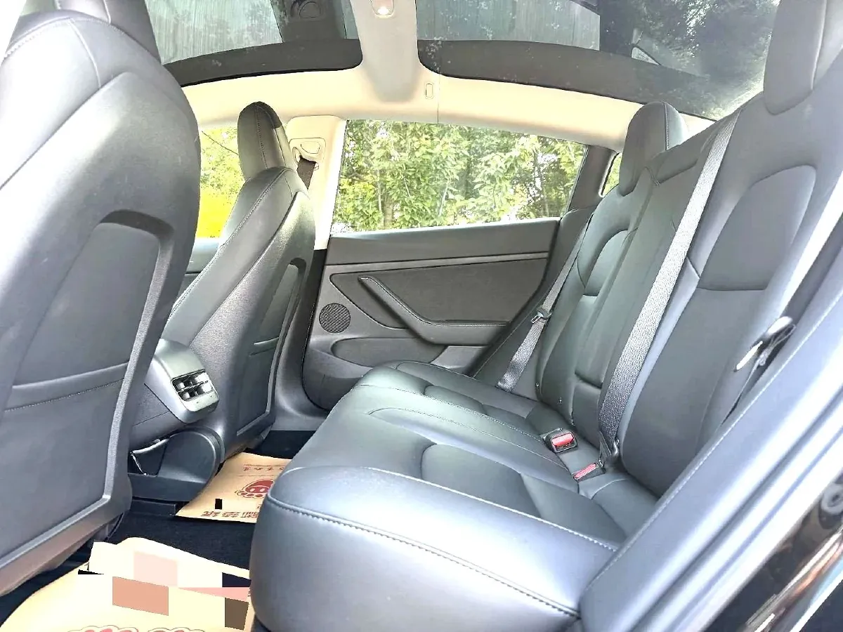 2021 Tesla Model 3 BEV 55KWH,autocango,china used car exporter,china ev exporter,chinese used car exporter,chinese used ev exporter