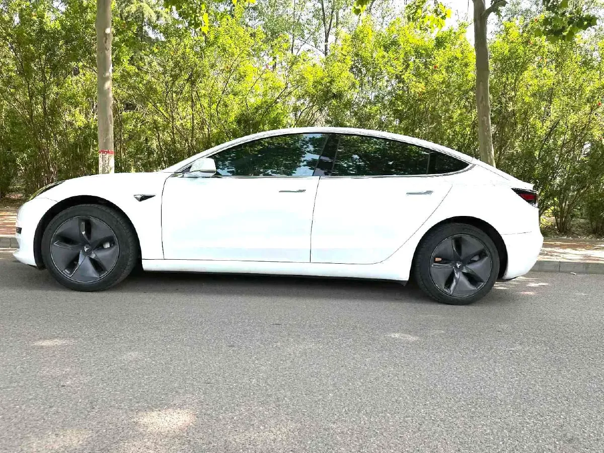 2019 Tesla Model 3 BEV 60KWH,autocango,china used car exporter,china ev exporter,chinese used car exporter,chinese used ev exporter