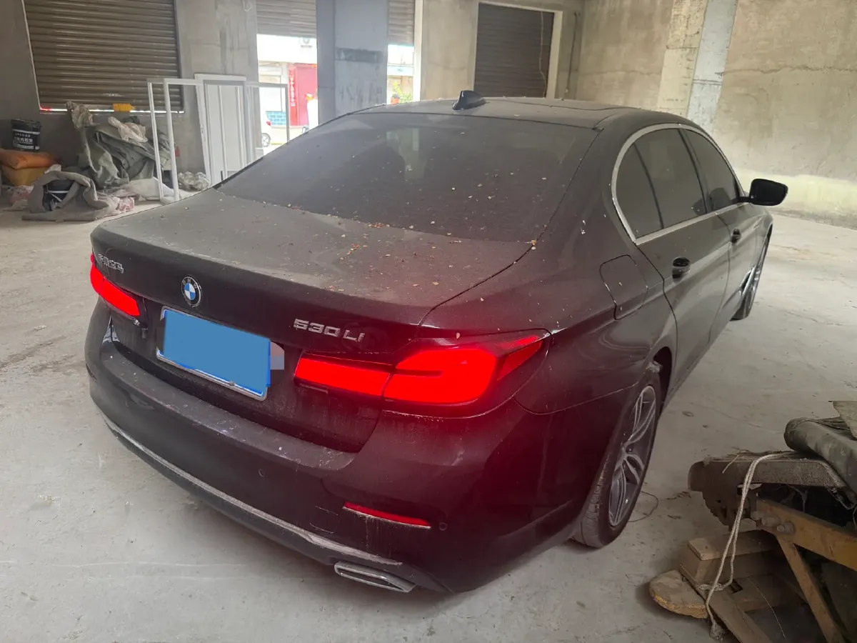 2021 BMW 5 Series 2.0T 252HP L4 8AT,autocango,china used car exporter,china ev exporter,chinese used car exporter,chinese used ev exporter