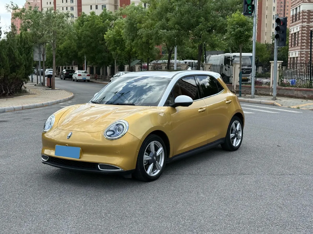 2021 Ora FunkyCat BEV 45.99KWH,autocango,china used car exporter,china ev exporter,chinese used car exporter,chinese used ev exporter