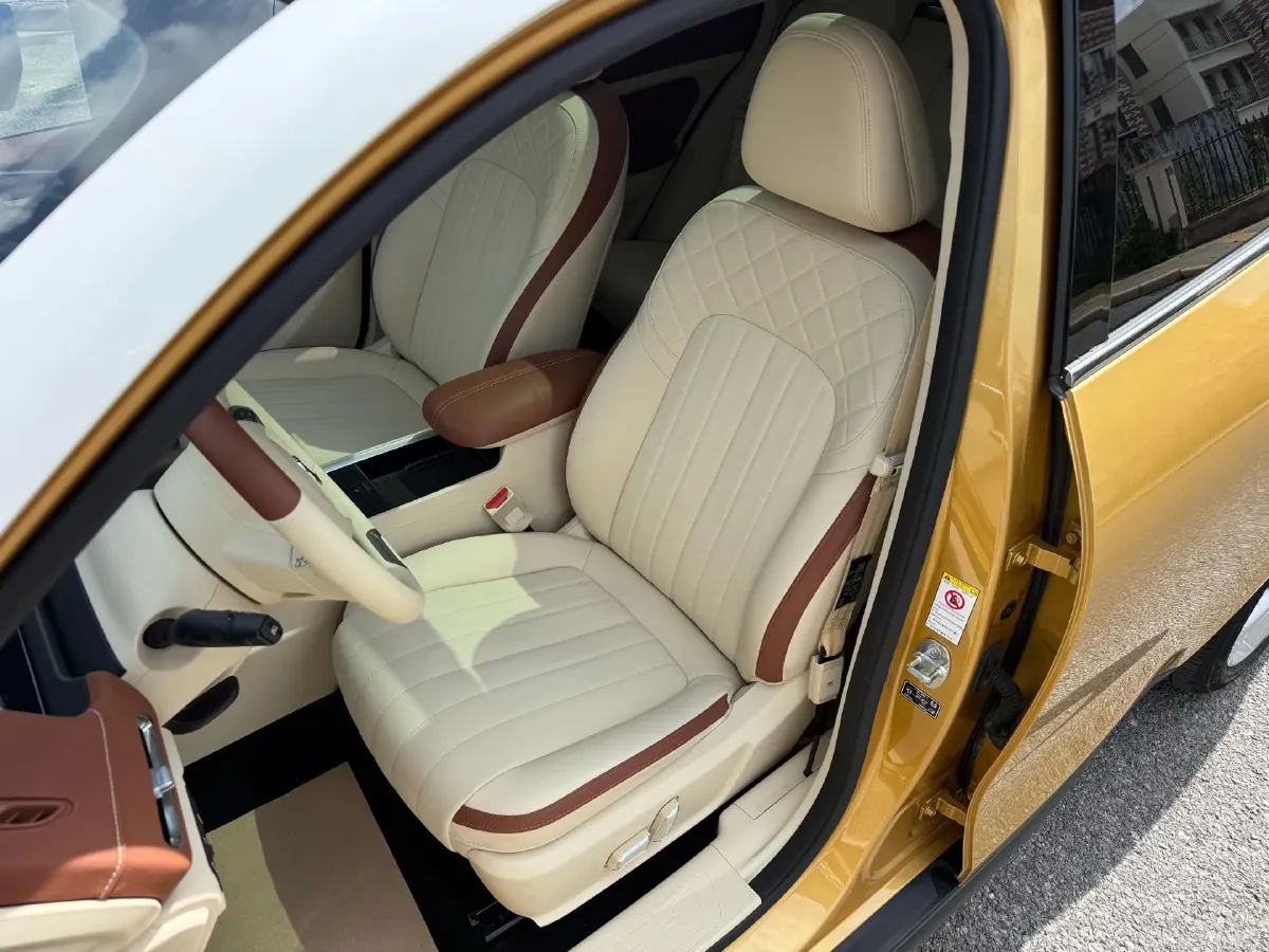 2021 Ora FunkyCat BEV 45.99KWH,autocango,china used car exporter,china ev exporter,chinese used car exporter,chinese used ev exporter