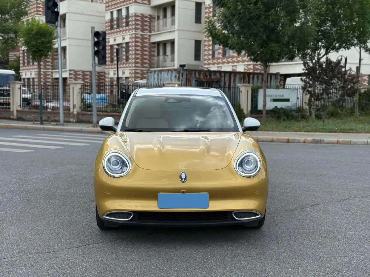 2021 Ora FunkyCat BEV 45.99KWH,autocango,china used car exporter,china ev exporter,chinese used car exporter,chinese used ev exporter