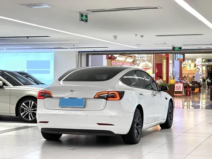 2021 Tesla Model 3 BEV 55KWH,autocango,china used car exporter,china ev exporter,chinese used car exporter,chinese used ev exporter