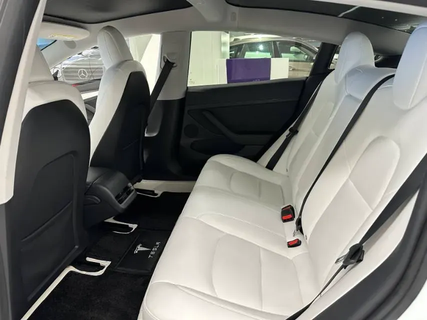 2021 Tesla Model 3 BEV 55KWH,autocango,china used car exporter,china ev exporter,chinese used car exporter,chinese used ev exporter