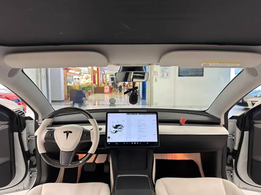 2021 Tesla Model 3 BEV 55KWH,autocango,china used car exporter,china ev exporter,chinese used car exporter,chinese used ev exporter