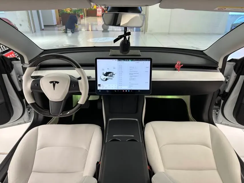 2021 Tesla Model 3 BEV 55KWH,autocango,china used car exporter,china ev exporter,chinese used car exporter,chinese used ev exporter