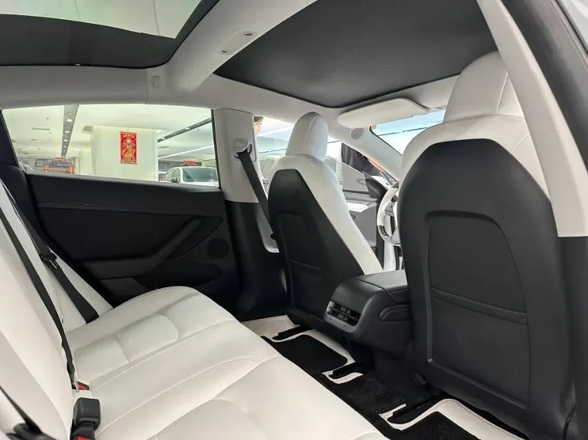 2021 Tesla Model 3 BEV 55KWH,autocango,china used car exporter,china ev exporter,chinese used car exporter,chinese used ev exporter