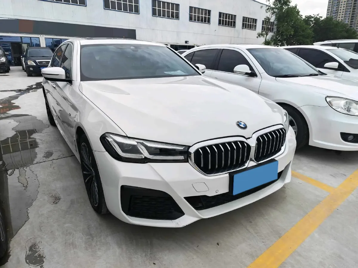 2021 BMW 5 Series 2.0T 252HP L4 8AT,autocango,china used car exporter,china ev exporter,chinese used car exporter,chinese used ev exporter