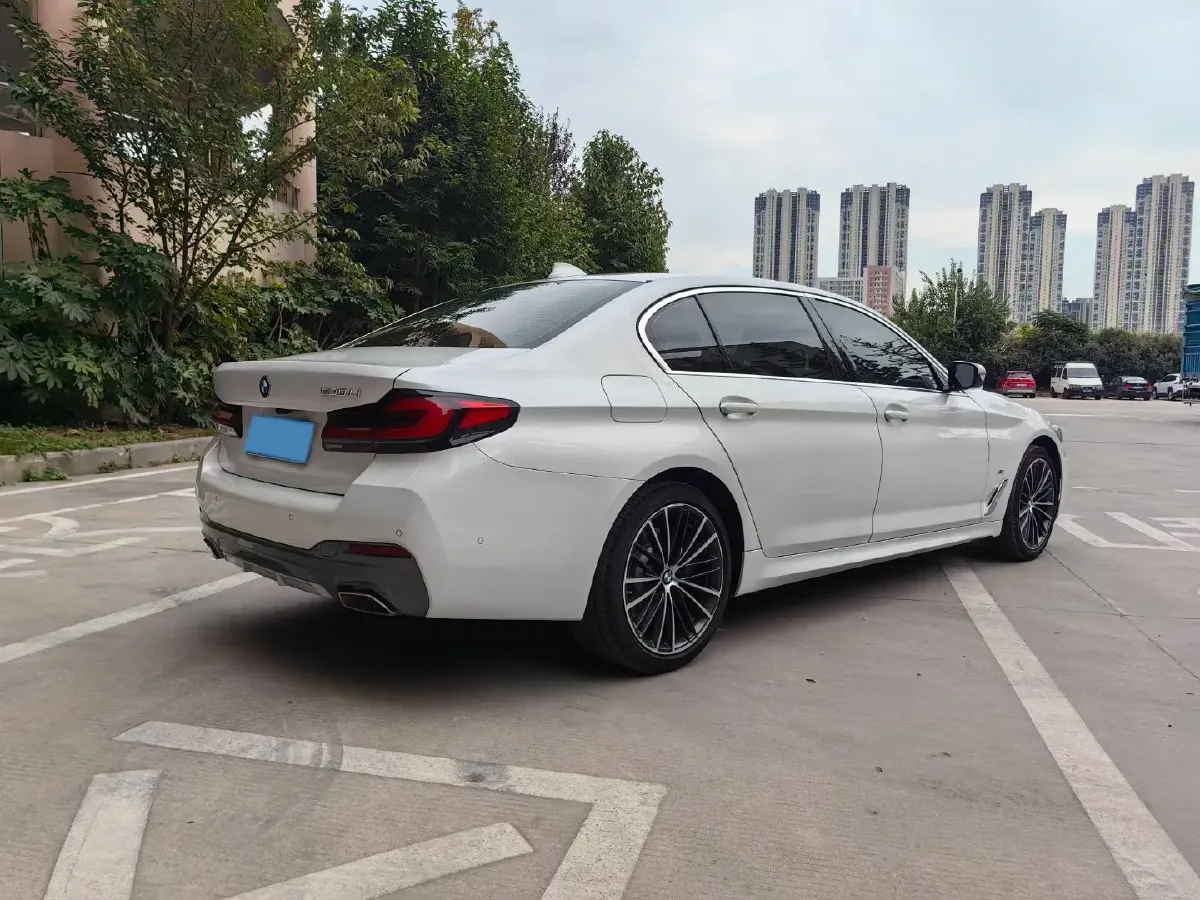 2021 BMW 5 Series 2.0T 252HP L4 8AT,autocango,china used car exporter,china ev exporter,chinese used car exporter,chinese used ev exporter