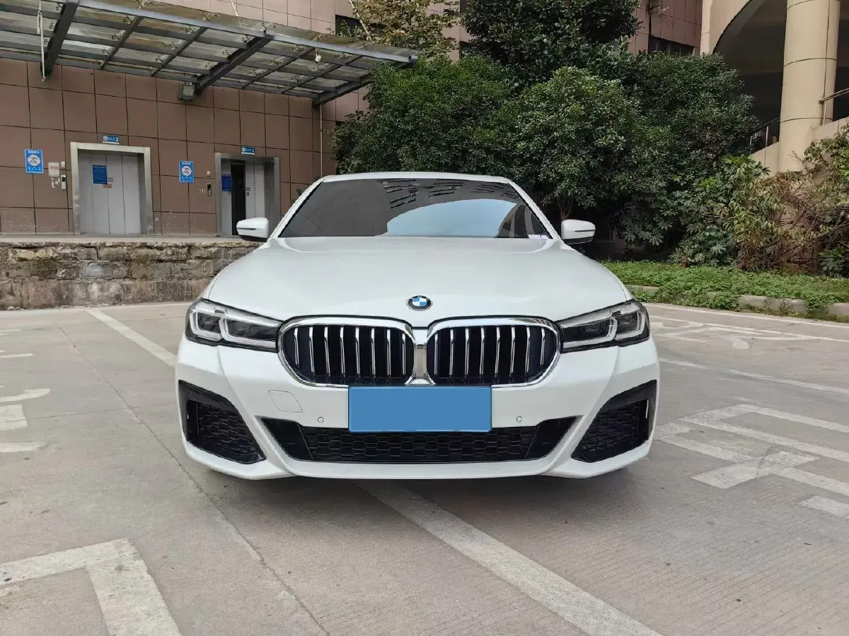 2021 BMW 5 Series 2.0T 252HP L4 8AT,autocango,china used car exporter,china ev exporter,chinese used car exporter,chinese used ev exporter