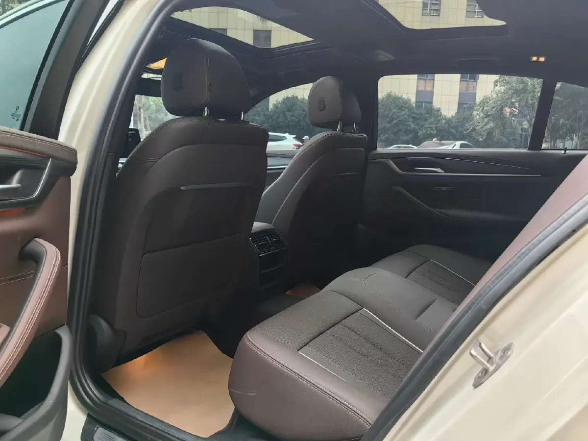 2021 BMW 5 Series 2.0T 252HP L4 8AT,autocango,china used car exporter,china ev exporter,chinese used car exporter,chinese used ev exporter