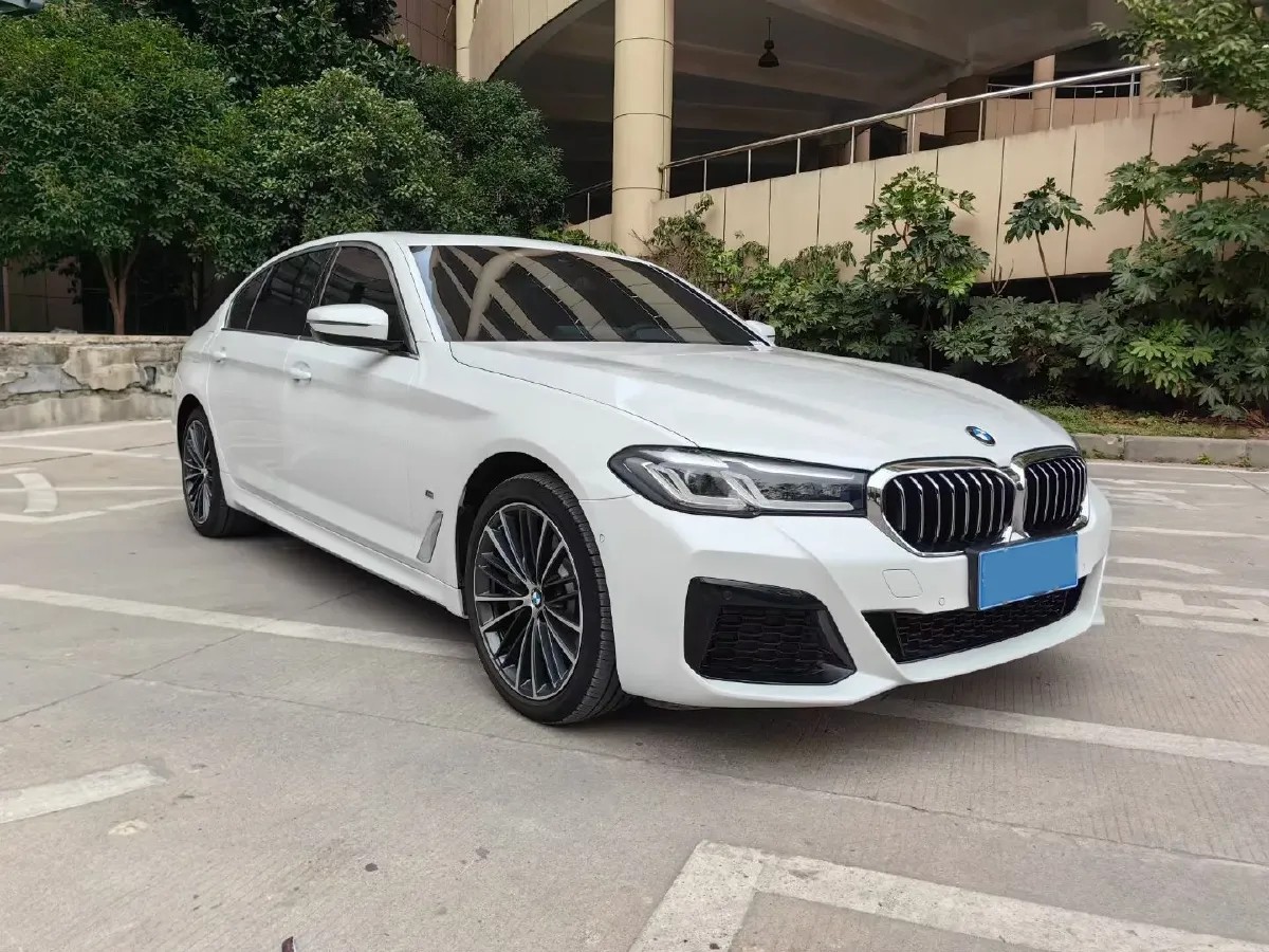 2021 BMW 5 Series 2.0T 252HP L4 8AT,autocango,china used car exporter,china ev exporter,chinese used car exporter,chinese used ev exporter