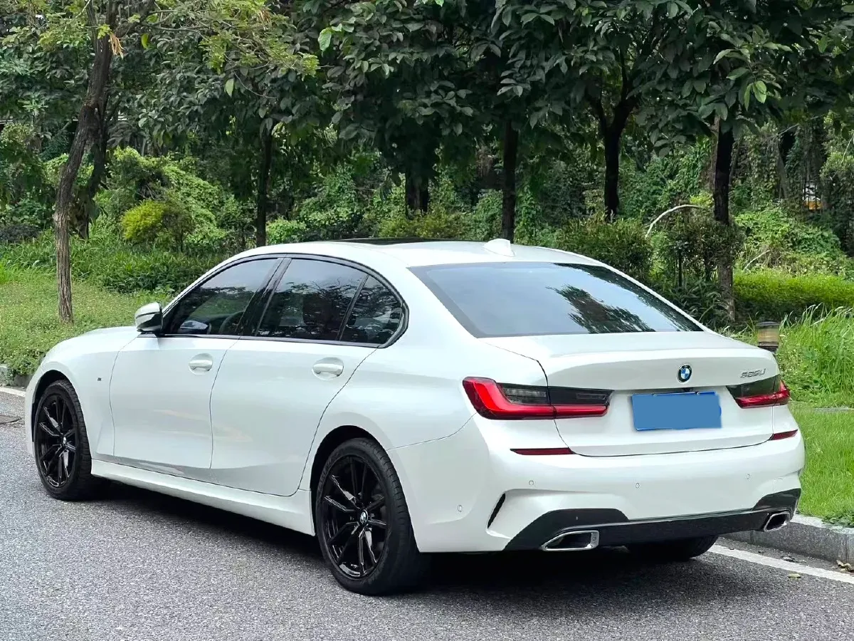 2021 BMW 3 Series 2.0T 184HP L4 8AT,autocango,china used car exporter,china ev exporter,chinese used car exporter,chinese used ev exporter
