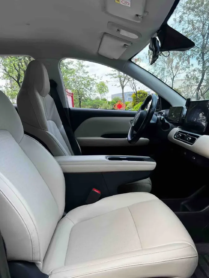 2024 WuLing BinGuoPLUS BEV 50.6KWH,autocango,china used car exporter,china ev exporter,chinese used car exporter,chinese used ev exporter