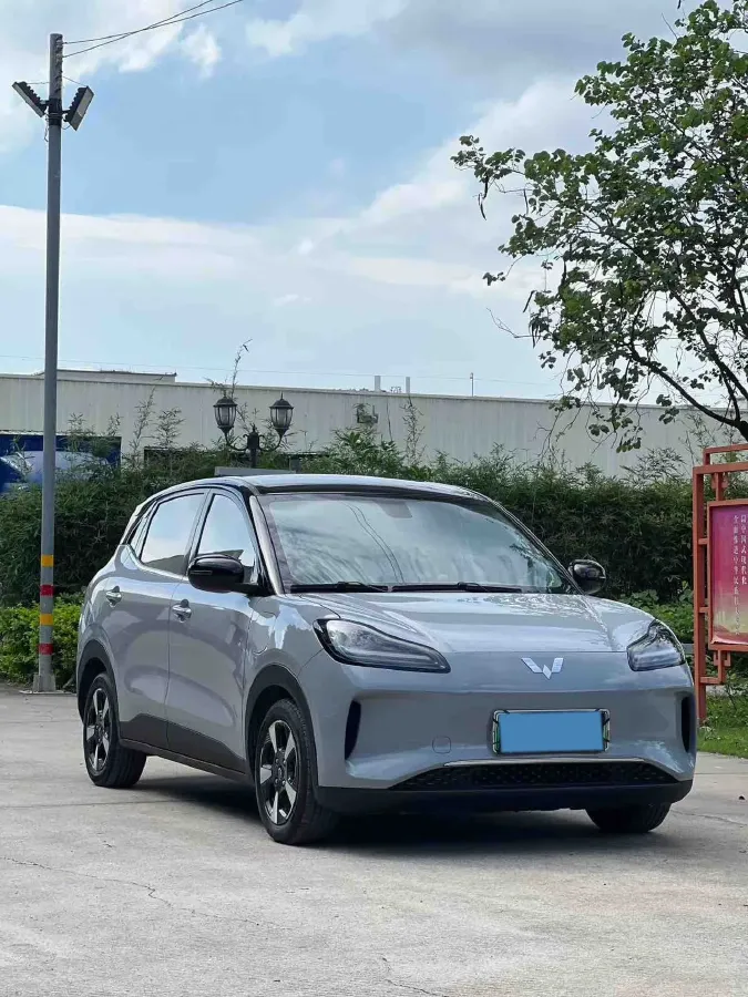2024 WuLing BinGuoPLUS BEV 50.6KWH,autocango,china used car exporter,china ev exporter,chinese used car exporter,chinese used ev exporter
