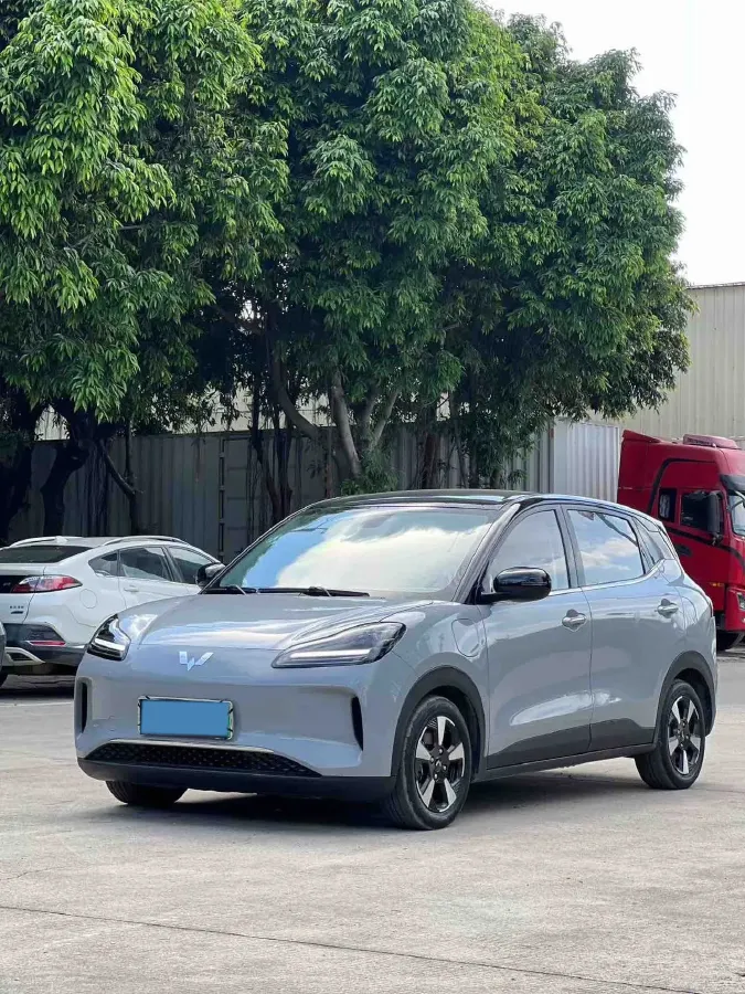 2024 WuLing BinGuoPLUS BEV 50.6KWH,autocango,china used car exporter,china ev exporter,chinese used car exporter,chinese used ev exporter