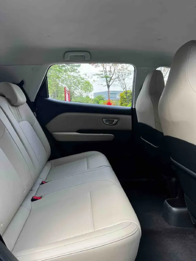 2024 WuLing BinGuoPLUS BEV 50.6KWH,autocango,china used car exporter,china ev exporter,chinese used car exporter,chinese used ev exporter