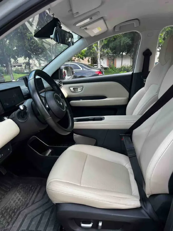 2024 WuLing BinGuoPLUS BEV 50.6KWH,autocango,china used car exporter,china ev exporter,chinese used car exporter,chinese used ev exporter