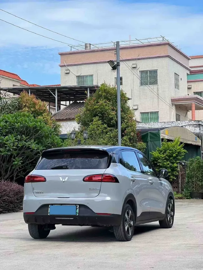 2024 WuLing BinGuoPLUS BEV 50.6KWH,autocango,china used car exporter,china ev exporter,chinese used car exporter,chinese used ev exporter