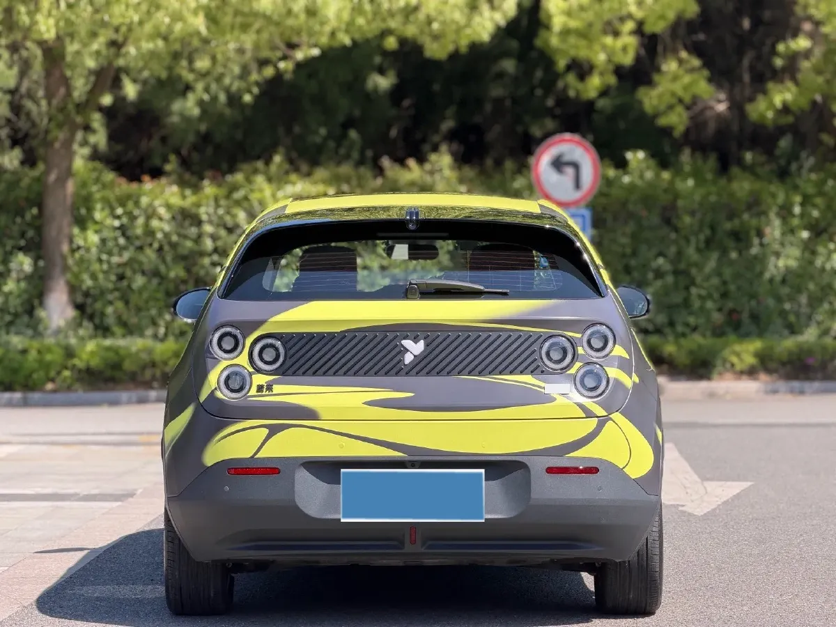 2025 Firefly Firefly BEV,autocango,china used car exporter,china ev exporter,chinese used car exporter,chinese used ev exporter