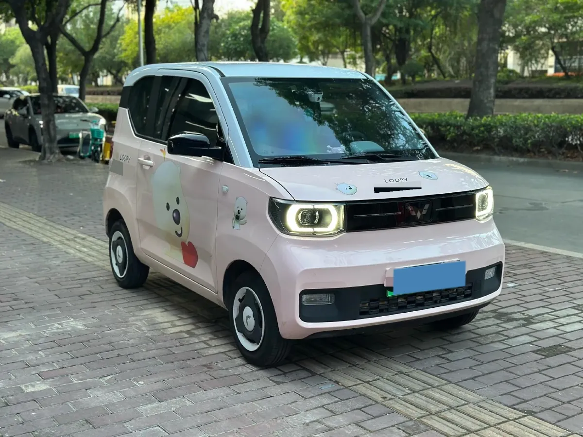 2022 WuLing HongGuang MINI EV BEV 9KWH,autocango,china used car exporter,china ev exporter,chinese used car exporter,chinese used ev exporter