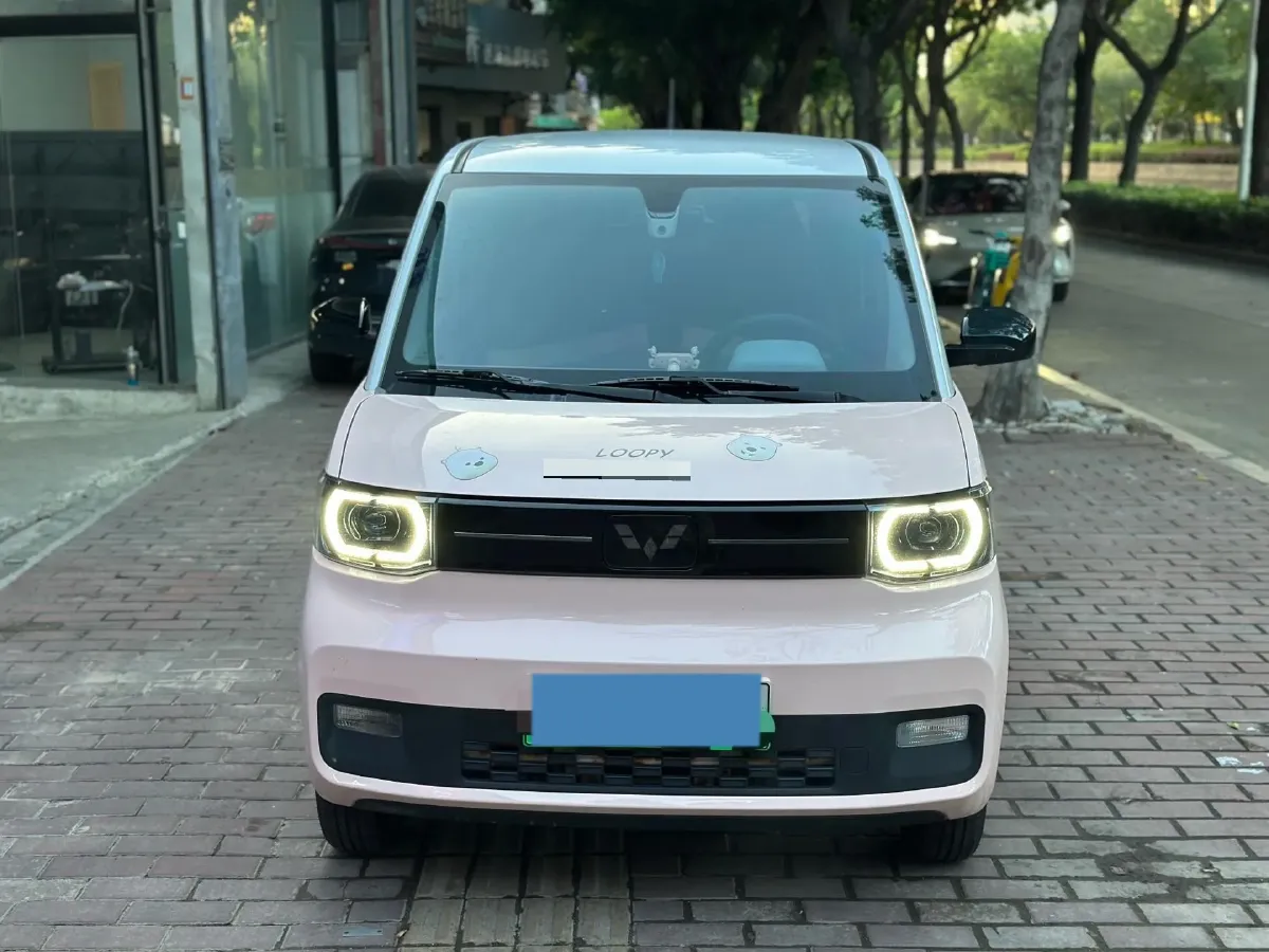 2022 WuLing HongGuang MINI EV BEV 9KWH,autocango,china used car exporter,china ev exporter,chinese used car exporter,chinese used ev exporter