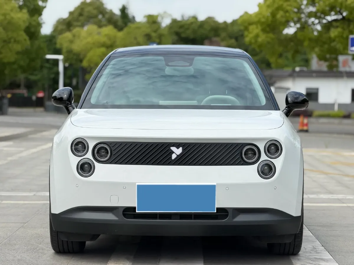2025 Firefly Firefly BEV,autocango,china used car exporter,china ev exporter,chinese used car exporter,chinese used ev exporter