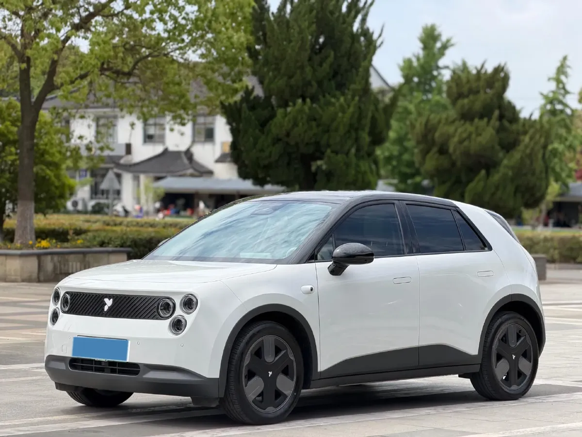 2025 Firefly Firefly BEV,autocango,china used car exporter,china ev exporter,chinese used car exporter,chinese used ev exporter