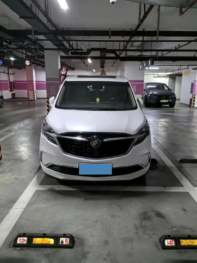 2020 Buick GL8 2.0T 237HP L4 9AT,autocango,china used car exporter,china ev exporter,chinese used car exporter,chinese used ev exporter