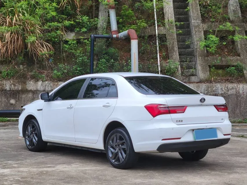 2019 BYD Qin BEV 53.1KWH,autocango,china used car exporter,china ev exporter,chinese used car exporter,chinese used ev exporter