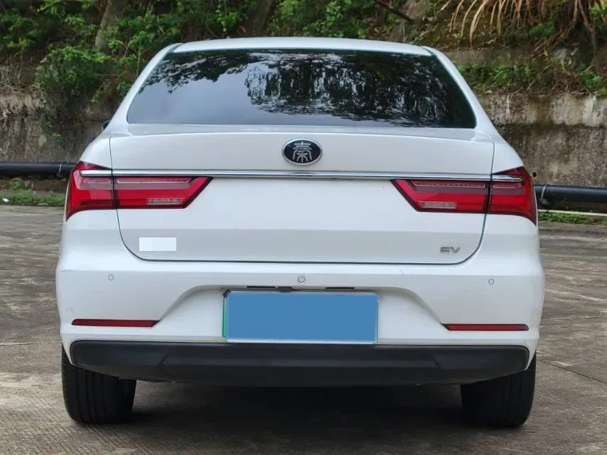 2019 BYD Qin BEV 53.1KWH,autocango,china used car exporter,china ev exporter,chinese used car exporter,chinese used ev exporter