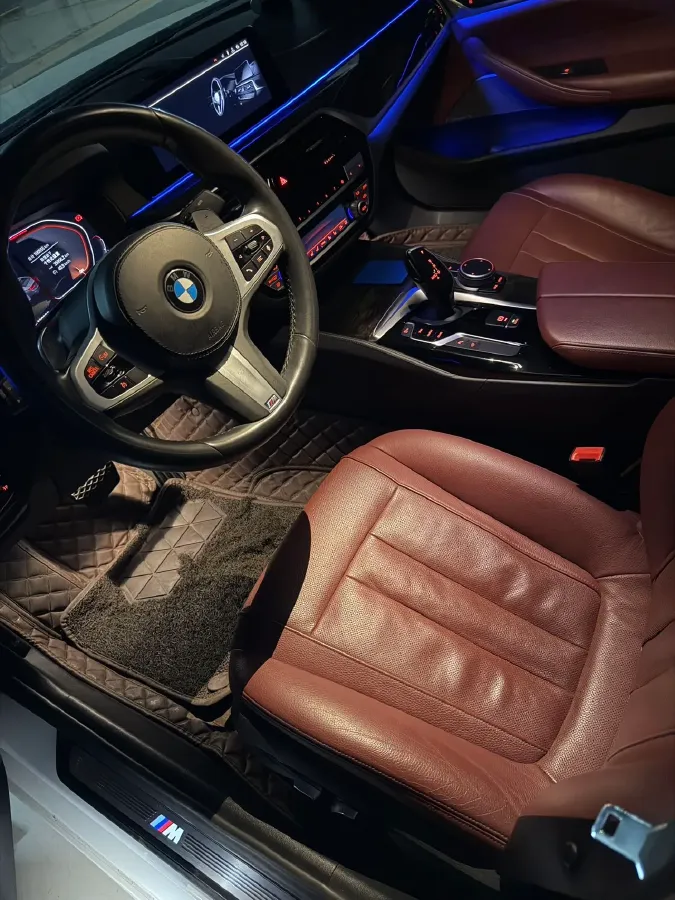 2020 BMW 5 Series 2.0T 252HP L4 8AT,autocango,china used car exporter,china ev exporter,chinese used car exporter,chinese used ev exporter