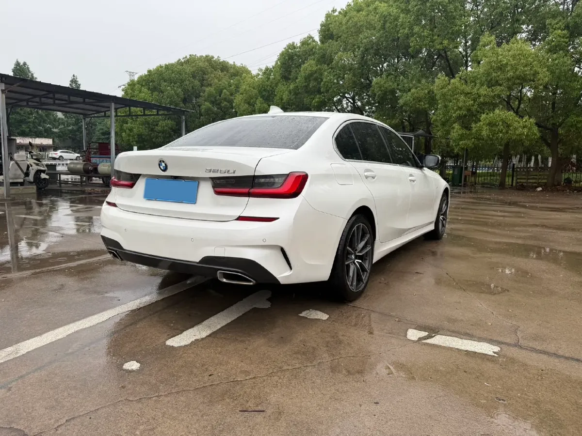 2021 BMW 3 Series 2.0T 156HP L4 8AT,autocango,china used car exporter,china ev exporter,chinese used car exporter,chinese used ev exporter