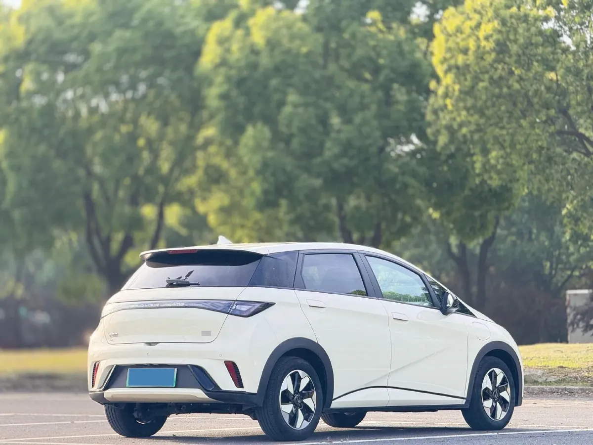 2025 BYD Dolphin BEV 44.928KWH,autocango,china used car exporter,china ev exporter,chinese used car exporter,chinese used ev exporter