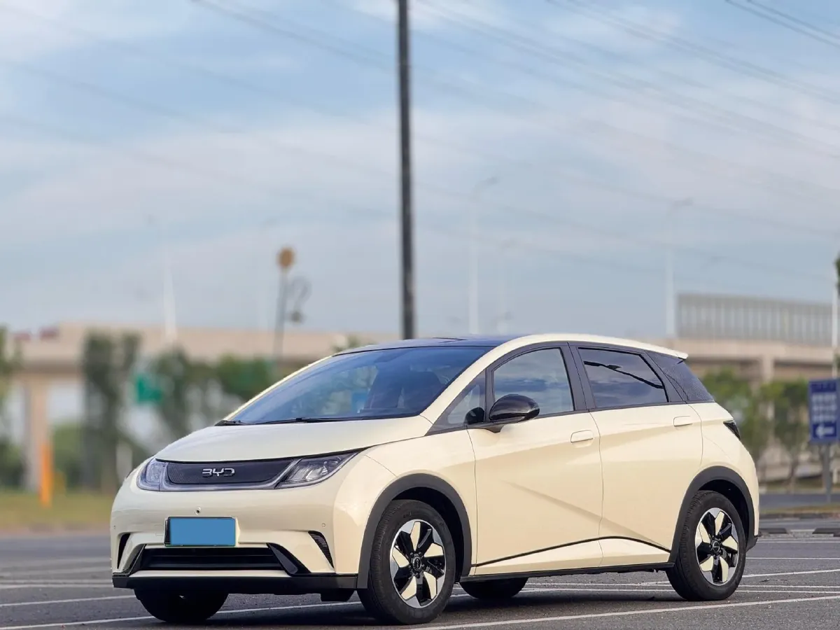 2025 BYD Dolphin BEV 44.928KWH,autocango,china used car exporter,china ev exporter,chinese used car exporter,chinese used ev exporter