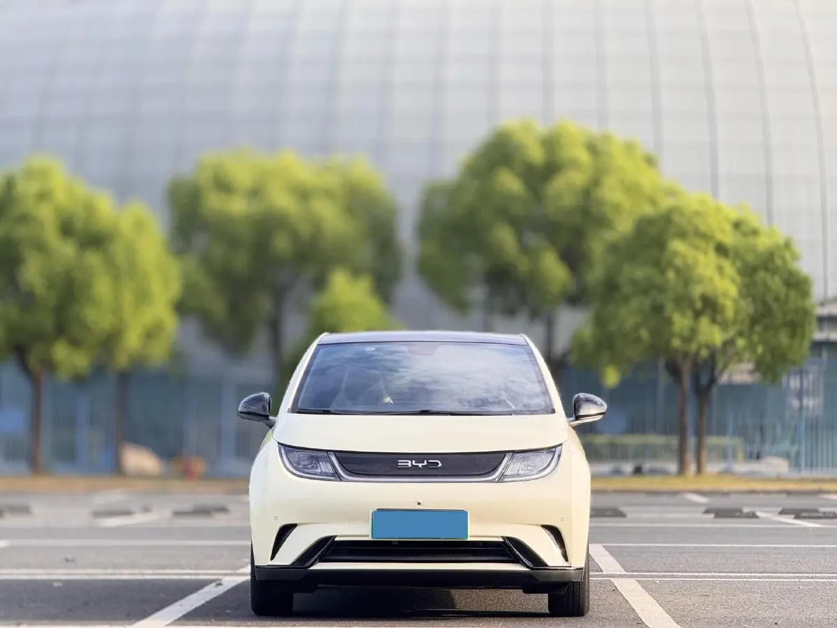 2025 BYD Dolphin BEV 44.928KWH,autocango,china used car exporter,china ev exporter,chinese used car exporter,chinese used ev exporter